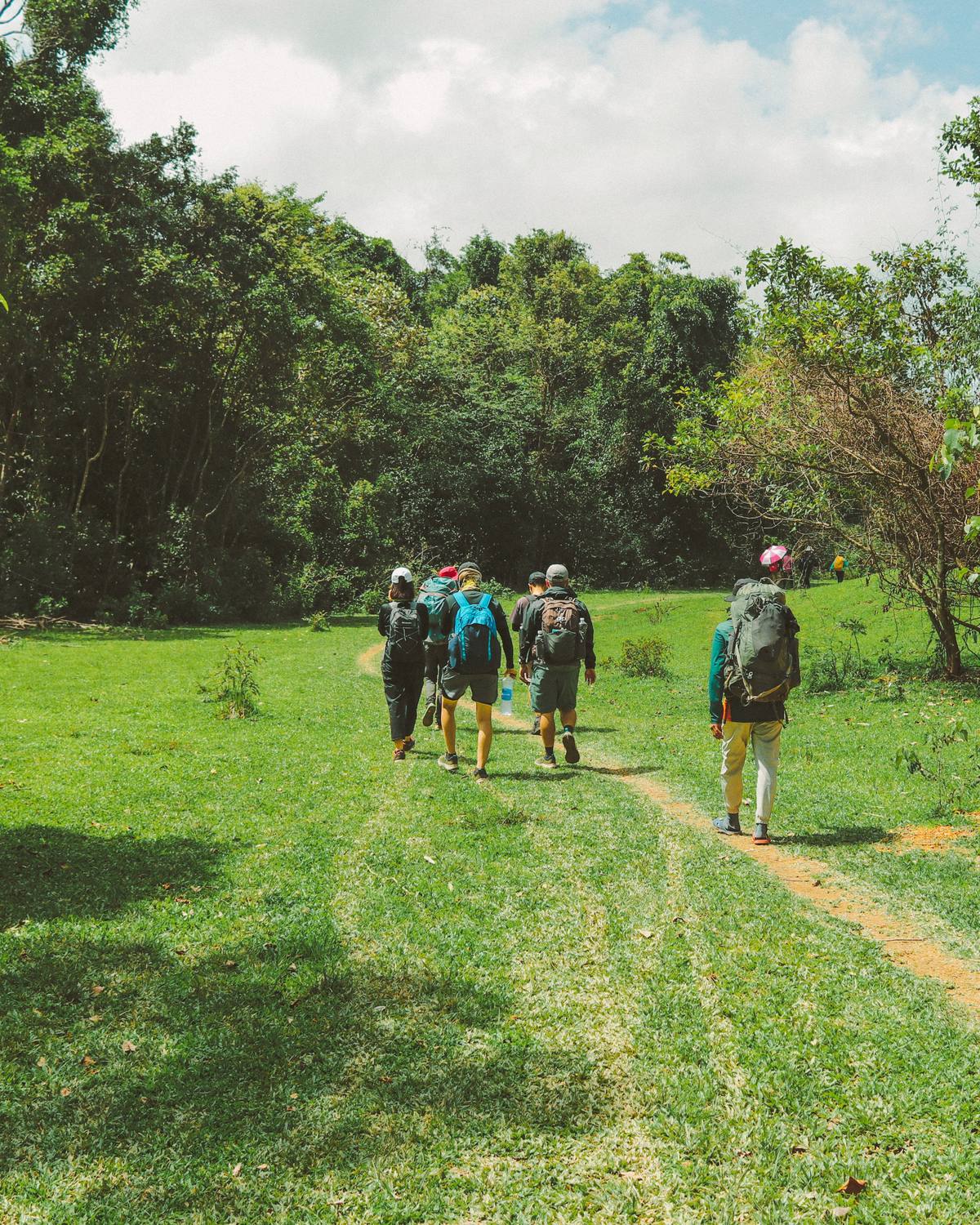 Group hiking across open savanna grassland